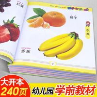 宝宝看图识物认字卡片儿童识字书0-3岁婴幼儿书籍早教启蒙认知书 认物大全500个[大开本240页]