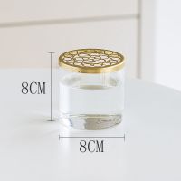北欧简约创意透明玻璃网格盖花瓶摆件客厅插花鲜花水培固定神器 8*8花瓶+圆孔盖