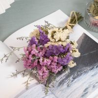 小清新干花花束摆件 家居生活真花装饰小摆件 玫瑰勿忘我混搭花束[3月10日发完] 勿忘我小花束