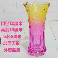 彩色花瓶玻璃透明加厚炫彩水养富贵竹客厅摆件结婚花瓶插鲜花百合 20兰花粉金幻彩加厚无铅