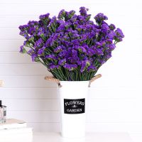 云南天然风勿忘我干花花束真花装饰摆件客厅摆设插花满天星论斤卖 深紫勿 10枝体验装 小支小束