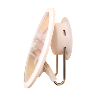 吸盘式浴室镜小镜子 卫生间镜子贴墙 厕所壁挂免打孔挂墙式化妆镜