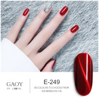 猫眼甲油胶套装2021年新款猫眼胶磁铁裸色指甲胶雾紫美甲 E-249