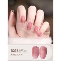 BOLE美甲店专用2021年新款丝绒指甲油胶套装网红流行色 B237