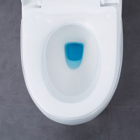 出租房卫生垫便携式马桶垫卫生公用旅行坐便器垫圈塑料神器隔脏垫 白色