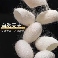 天然小蚕壳去黑头深层清洁祛角质死皮泡水抽丝洗脸美容球指套 20粒