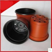 特大号一次性盆栽双色塑料花盆营养钵培育苗盆加厚红黑薄软花盘 口径9cm [100个] 中等