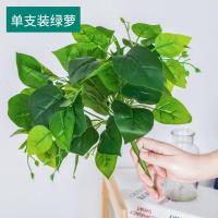 仿真绿萝盆栽绿植套装塑料花家居室内客厅茶几绿叶阳台装饰品摆件 单支装绿萝