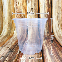 懒人花盆自动吸水垂吊高款圆形新塑料透明储水培中小养花盆 高款储水盆[6个装] 中等(送棉绳)