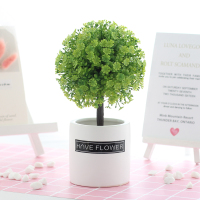 仿真绿植小盆栽套装塑料家居摆件装饰摆设创意假花小盆景植物室内 白色花盆+满天星绿色