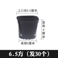 小黑方加厚多肉盆塑料花卉扦插育苗叶插种植方形大黑方 6.5方30个(圆底)特价