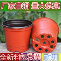 农用双色盆塑料花盆摔不坏育苗盆种植盆营养钵营养袋育苗盘幼苗盆 90#7.8×8×6(100个)