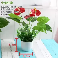 小盆栽塑料花假花摆件室内摆设装饰品 胶花防真花客厅摆设装饰花 红色 中盆尤加利中红掌