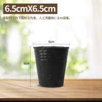 营养钵育苗杯花盆种植盆塑料园艺花卉种子苗木育苗袋杯扦插一次性 6.5*6.5(500个)实尺6*6