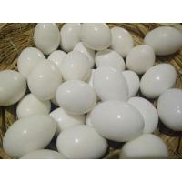鸽子用品用具假鸽子蛋假蛋实心假蛋孵卵用品草窝鸽子笼塑料草盆 假鸽蛋(10个)