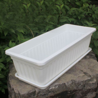 长方形塑料种菜盆阳台室内蔬菜种植花盆大号家庭盆栽种菜庭院养花 白色花盆(含托盘) 中等