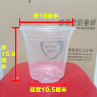 自动吸水花盆懒人盆塑料透明储水加仑盆圆形绿萝盆栽套装园艺特价 透明盆 1个 16cm