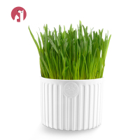 猫咪专用化毛膏猫卫士调理肠胃化毛球猫草片营养钙片宠物用品