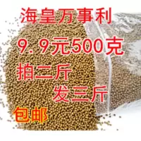 乌龟饲料鳄龟饲料石金钱龟饲料乌龟粮食巴西龟料小乌龟料龟粮 淡水鱼干100克(4-10厘米)