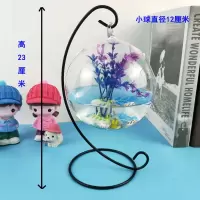 创意摆件家居装饰斗鱼缸小型迷你办公桌面圆形悬挂金鱼缸透明玻璃 小球+小黑架(送装饰)
