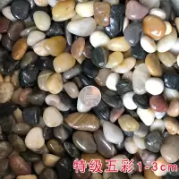 天然雨花石鹅卵石鱼缸造景原石小白石子五彩石鹅软石卵石彩色石头 特级 五彩1-3cm (5斤装)