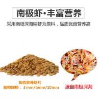 虎头鲨蓝鲨鱼饲料招财猫鱼异形底栖鱼食下沉饲料沉底鱼饲料 500g高蛋白小颗粒2mm