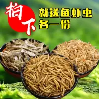 虾干淡水鱼干巴西龟草龟鳄龟饲料水500克仓鼠饲料 小鱼干100g