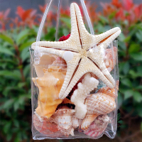天然超大海螺贝壳套装海星标本鱼缸造景海螺贝壳收藏送学生礼物 1个天然霸王海星套餐