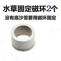 蜈蚣草懒人水草金鱼藻热带鱼缸造景虾缸草缸懒人草易养活增氧 固定瓷环2个(不含水草)