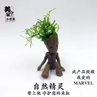 自然精灵格鲁特鱼缸造景摆件莫斯水草活体无需水草泥盆栽玩具 自然精灵1个