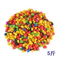 5斤装鱼缸过滤材料珊瑚砂麦饭石火山岩细菌屋水族箱玻璃环中空球 5斤彩色小石子