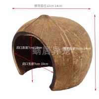 寄居蟹天然椰壳攀爬梯小窝躲避造景装饰减压蜗居异宠十三玩水族 椰壳躲避 独家定制大口径