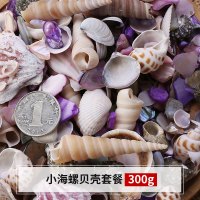 天然贝壳海螺手工diy装饰品微景观卷贝鱼寄居蟹替换壳鱼缸造景珊 小海螺贝壳套餐300g