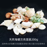 鱼缸造景底砂菲律宾沙贝壳沙珊瑚砂白沙子三湖慈鲷寄居蟹天然海沙 天然海螺贝壳混装[200g]