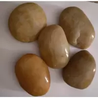 超特大号天然黑白黄色鹅卵石雨花石石头鱼缸石花盆装饰石头铺地石 黄色鹅卵石4-5厘米3颗