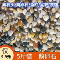 【5斤装】雨花石鱼缸造景庭院小块户外超大号石头黑色铺路 抛光鹅卵石0.5-1.5cm（5斤装）