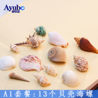 鱼缸装饰造景套餐水族箱造景贝壳海螺海星珊瑚摆件工艺品 混装海螺海贝13个