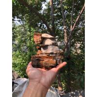 太行山脉原石盆景千层鱼缸造景创意摆件随机发货假山客厅茶宠