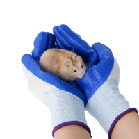 仓鼠防咬手套兔子龙猫豚鼠荷兰猪金丝熊防咬玩具小用品 蓝色防咬手套