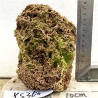 天然吸水石上水石原石盆景摆件麦管石假山原石奇石造景水秀石 荧光绿 YS368