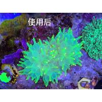 海缸滤镜海水缸拍照滤镜蓝光滤镜片单反相机手机拍照用全黄渐变黄 渐变黄 95mm