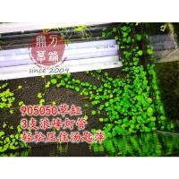 浪峰灯管T5HO 朗峰水草灯 8w16w24w39w54瓦 太阳神 十年代理 8瓦6500k自然白865--长度30cm