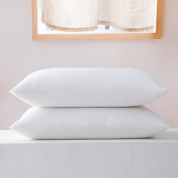 枕头护颈椎助睡眠学生宿舍单人双人男单只高低枕芯一对拍2件家用 400g拉链款羽丝绒枕单只(推荐儿童用)