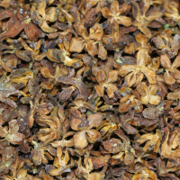 沂蒙山野生侧柏壳 5斤 黑发枕头散装枕芯白发少白头柏树壳柏子壳 侧柏壳手工挑选5斤