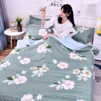 夏季可水洗夏凉被空调被被子单人1.5学生双人2.0薄被子被芯儿童被 浅灰色 心花之恋 80x100