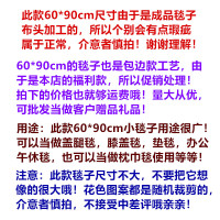 夏季法兰绒毛毯双人珊瑚云貂绒盖毯学生床垫单人床单午休空调被子 小毯子枕巾毯颜色随机发货 60*90cm(小毯子膝盖毯)