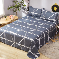 床单单件学生宿舍单人双人床网红1.8米1.5m卡通儿童1.2冬被单男女 格子假日 [单床单]1.2x2.1m