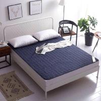 夏天床垫软垫薄款榻榻米床垫保护垫防滑床褥子垫被可折叠租房 防滑升级款[气质蓝] 90*200cm床