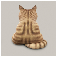 ins网红背影猫咪抱枕公仔毛绒玩具咖啡厅摆设韩风少女心靠垫靠枕 橘猫 小号43cm