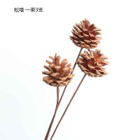 干花花束向日葵尤加利棉花玫瑰雏菊兔尾草 DIY插花花材家居装饰 栗色 松塔3支 干花包